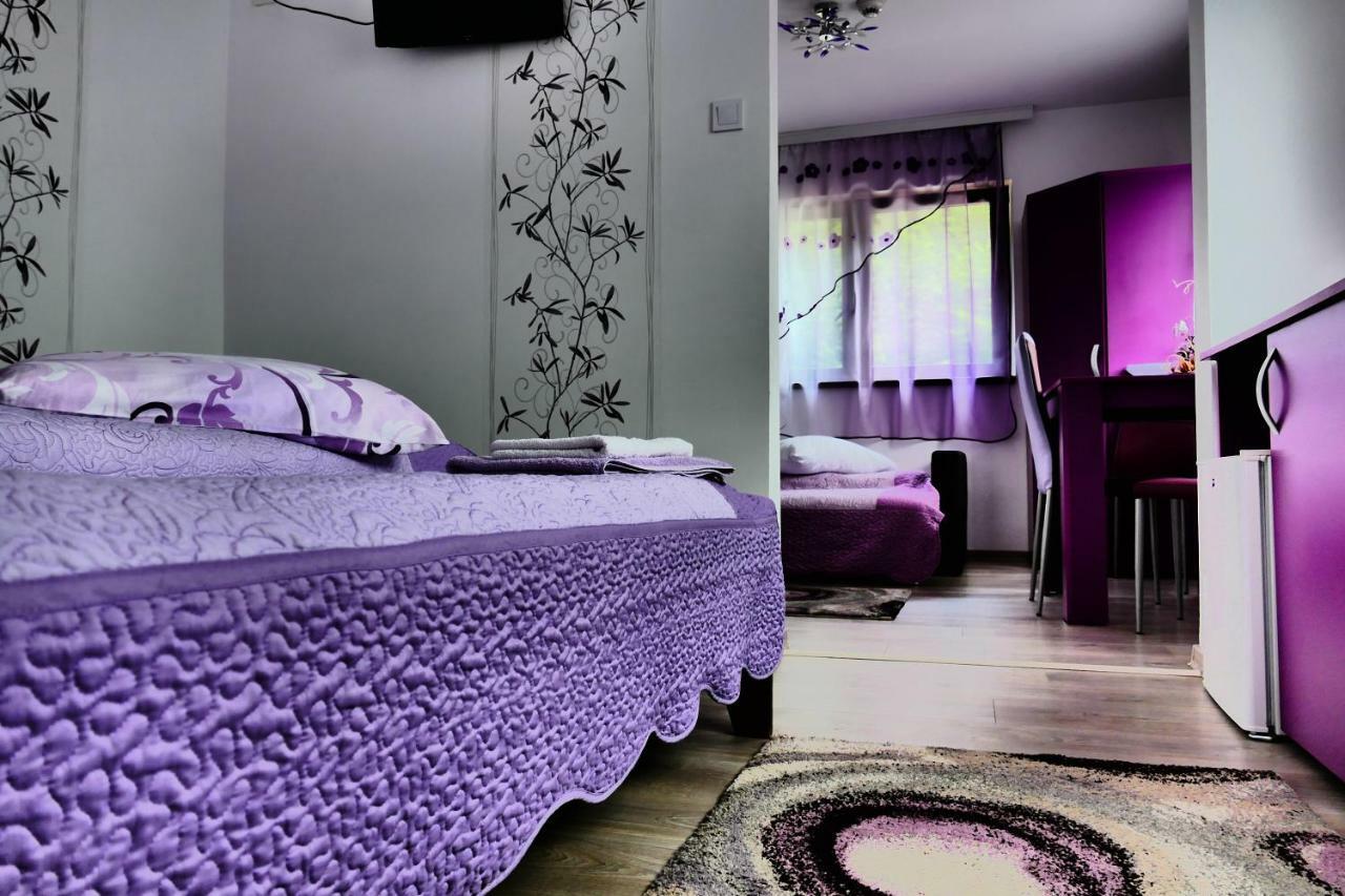 Pensiunea Roua Florilor Hotell Anina Exteriör bild