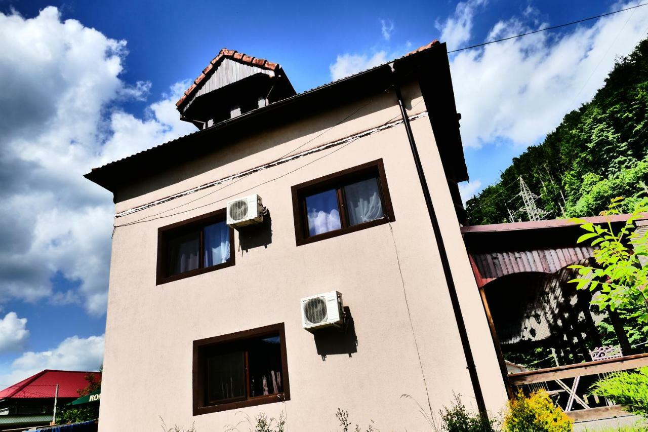 Pensiunea Roua Florilor Hotell Anina Exteriör bild