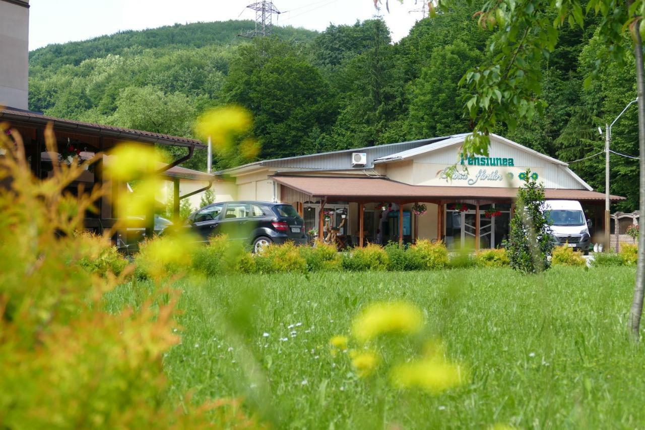 Pensiunea Roua Florilor Hotell Anina Exteriör bild